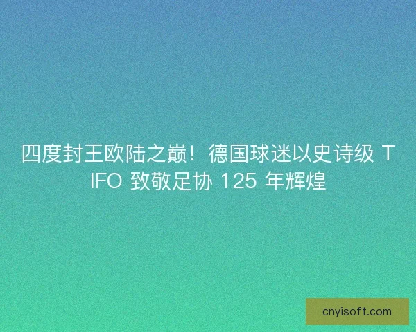 四度封王欧陆之巅！德国球迷以史诗级 TIFO 致敬足协 125 年辉煌